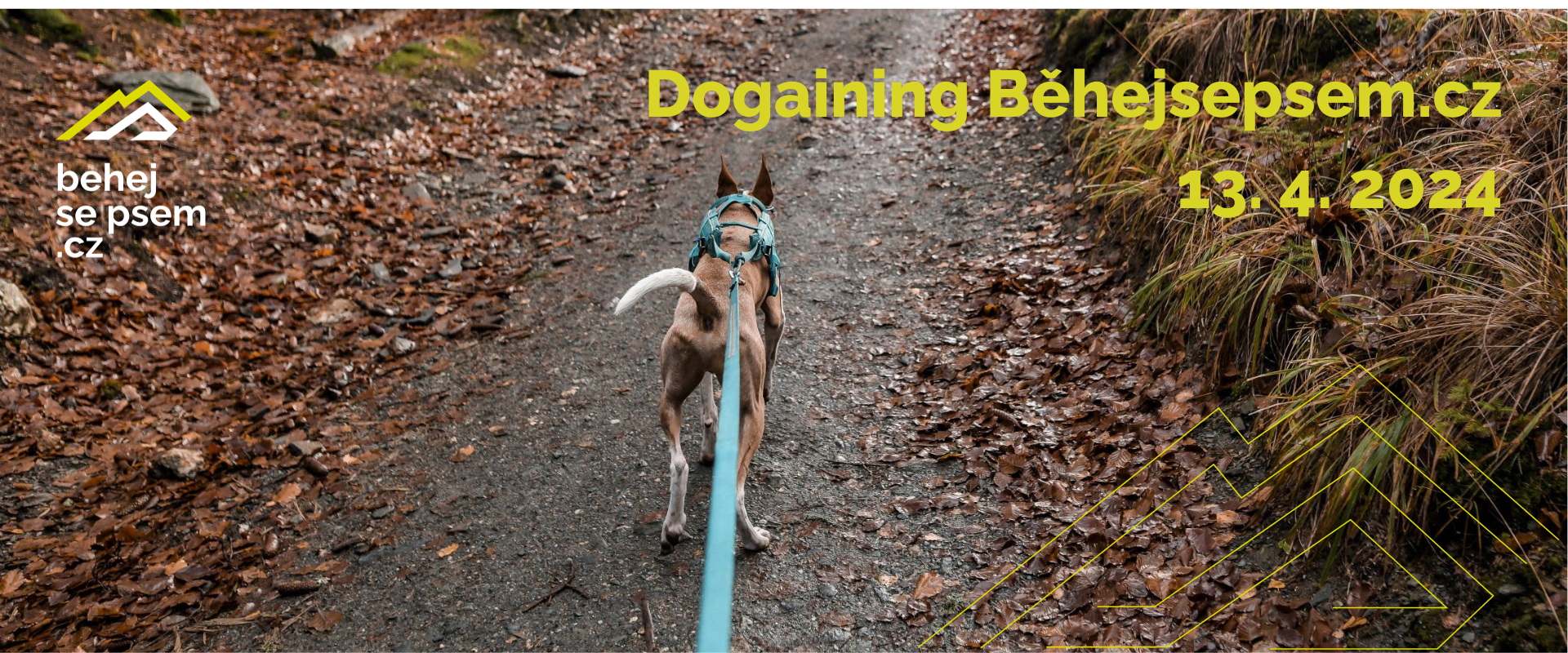 Dogaining Běhejsepsem.cz